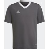 adidas Performance Entrada Voetbalshirt - Kinderen - Grijs - 164