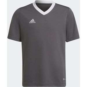 adidas Performance Entrada Voetbalshirt - Kinderen - Grijs - 164