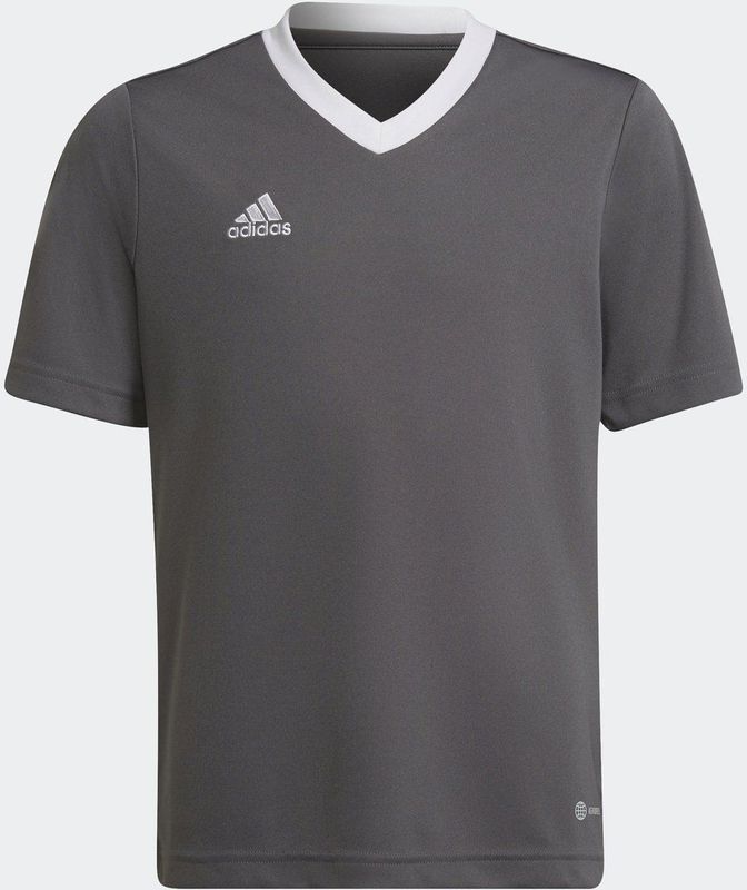 adidas Performance Entrada Voetbalshirt - Kinderen - Grijs - 164