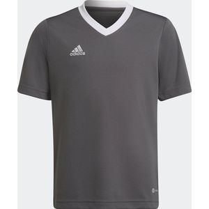 adidas Performance Entrada Voetbalshirt - Kinderen - Grijs - 152