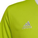 adidas - Entrada Jersey Youth - Kids Groene Voetbalshirt -128