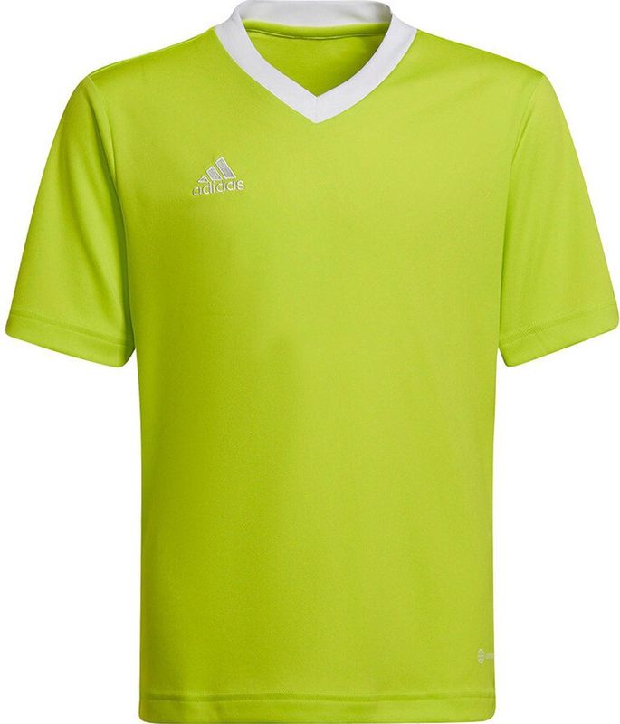 adidas - Entrada Jersey Youth - Kids Groene Voetbalshirt -128