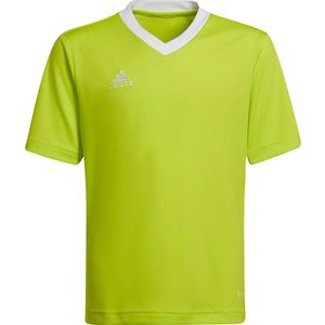 adidas - Entrada Jersey Youth - Kids Groene Voetbalshirt -140