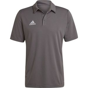adidas Entrada Polo - sportpolo's - Grey - Mannen