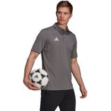 adidas - Entrada Polo - Grijze Polo