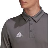 adidas - Entrada Polo - Grijze Polo