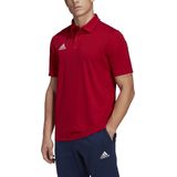 Adidas - Entrada 22 - Poloshirt - Korte Mouw