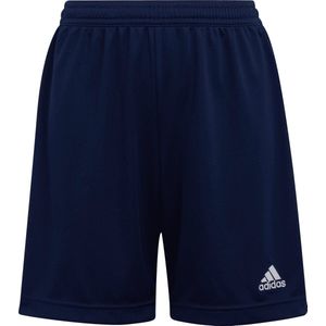adidas Performance Trainingsshorts ENT22 SHO Y (1-tlg)