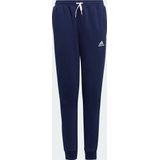 adidas Performance Entrada 22 Joggingbroek - Kinderen - Blauw