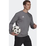 adidas Performance Entrada 22 Sweatshirt - Heren - Grijs