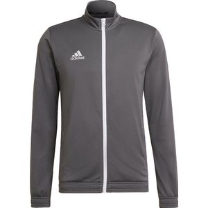 adidas - Entrada 22 - Trainingsjack - Grijs - Wit