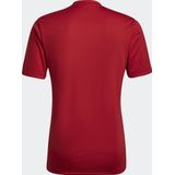 adidas Performance Entrada Graphic Voetbalshirt - Heren - Rood