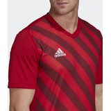 adidas Performance Entrada Graphic Voetbalshirt - Heren - Rood
