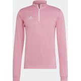 adidas - Performance Entrada 22 - Trainingsshirt - Roze