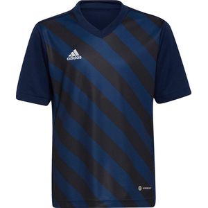 adidas - Entrada GFX Jersey Youth - Kids Voetbalshirt-116