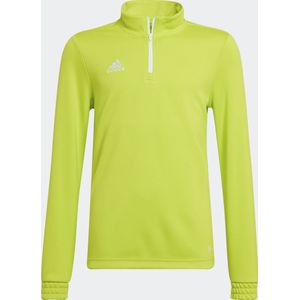 adidas Performance Entrada Trainingsshirt - Kinderen - Geel - 164