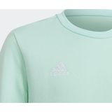 adidas Performance Entrada 22 Sweatshirt - Kinderen - Turquoise