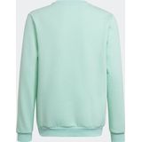 adidas Performance Entrada 22 Sweatshirt - Kinderen - Turquoise