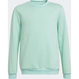 adidas Performance Entrada 22 Sweatshirt - Kinderen - Turquoise