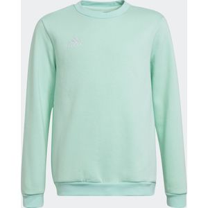 adidas Performance Entrada 22 Sweatshirt - Kinderen - Turquoise