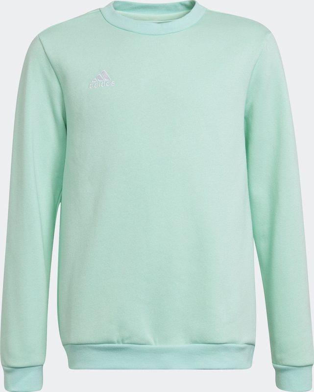 adidas Performance Entrada 22 Sweatshirt - Kinderen - Turquoise