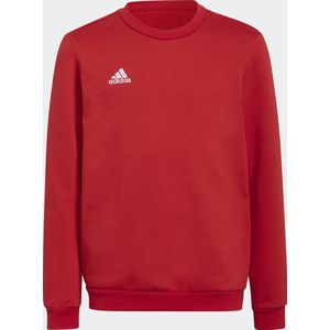 adidas Entrada 22 Crew Sweater - Rood - Fleece - Standaard Pasvorm
