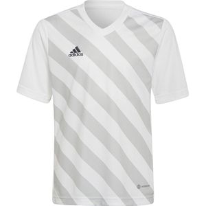 adidas - Entrada GFX Jersey Youth - Gestreepte Jersey-128
