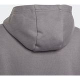 adidas Performance Entrada 22 Sweat Hoodie - Kinderen - Grijs