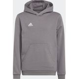 adidas Performance Entrada 22 Sweat Hoodie - Kinderen - Grijs