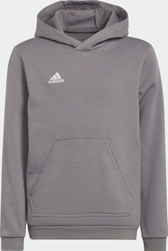 adidas Performance Entrada 22 Sweat Hoodie - Kinderen - Grijs