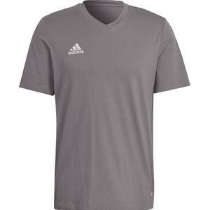 adidas Heren Entrada 22 Tee, Team Grey Four, L Extra Tall