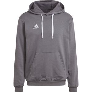 adidas Performance Entrada 22 Sweat Hoodie - Heren - Grijs
