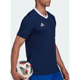 adidas Performance Entrada Voetbalshirt - Heren - Blauw