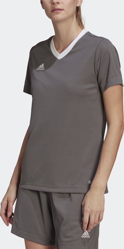 adidas Performance Entrada Voetbalshirt - Dames - Grijs
