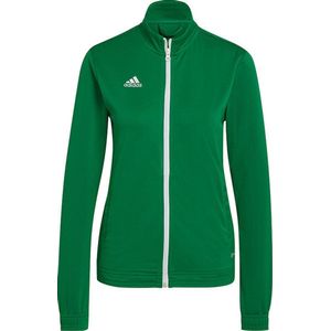 Adidas - Entrada 22 - Jas - Synthetisch - Lichtgewicht, Wind- en Waterafstotend