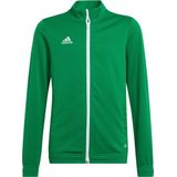 adidas - Entrada 22 Track Jacket Youth - Groen Jack Kids