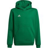 adidas - Entrada 22 Hoodie - Groene Hoodie voor Kinderen