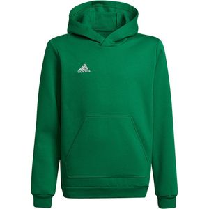 adidas - Entrada 22 Hoodie - Groene Hoodie voor Kinderen