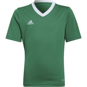 adidas - Entrada Jersey Youth - Groene Voetbalshirt -152