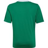 adidas - Entrada 22 Jersey - Groene Voetbalshirt - Voor Kids