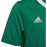 adidas - Entrada 22 Jersey - Groene Voetbalshirt - Voor Kids