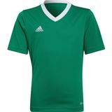 adidas - Entrada 22 Jersey - Groene Voetbalshirt - Voor Kids