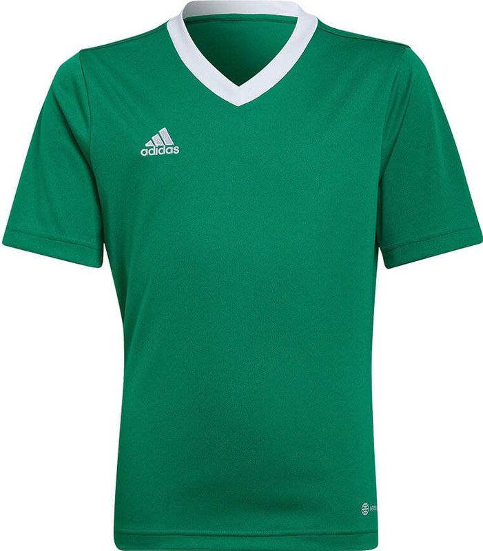 adidas - Entrada 22 Jersey - Groene Voetbalshirt - Voor Kids