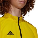 adidas - Entrada 22 - Herenjas - Team Yellow/Black - Polyester