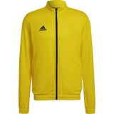 adidas - Entrada 22 - Herenjas - Team Yellow/Black - Polyester