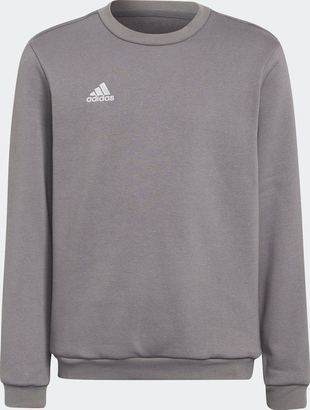 adidas Performance Entrada 22 Sweatshirt - Kinderen - Grijs