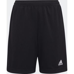 adidas Performance Entrada 22 Trainingsshort - Kinderen - Zwart