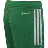 adidas Performance Tiro 23 League Short - Kinderen - Groen