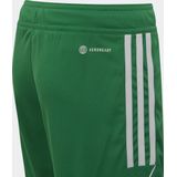 adidas Performance Tiro 23 League Short - Kinderen - Groen