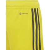adidas - Tiro 23 League Short - Geel - Kinderen